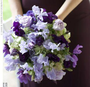 Hochzeit - Passionte Purple 