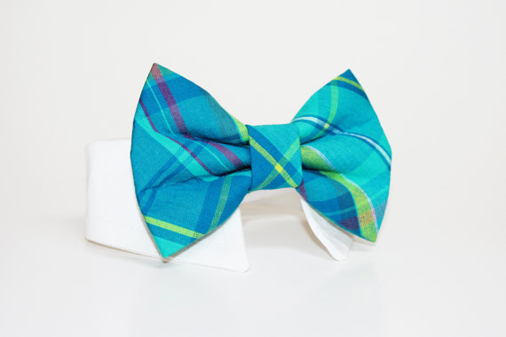 زفاف - Blue Madras Plaid Dog Bow Tie and Shirt Collar-  Wedding Dog Tie- Shirt Collar