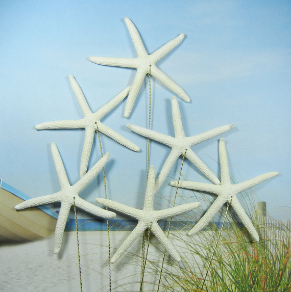 زفاف - 6 Natural Pencil Starfish Stems for a Wedding Bouquet Bridal Bouquet or Centerpiece