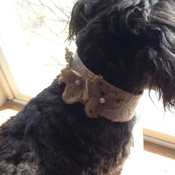 Wedding - DOG FLOWER COLLAR -  Lace over Burlap and Burlap flowers,Pet Wedding,Ties on, Pet Flower, Dog Wedding, Pet Corsage, Dog flower , Dog Bow