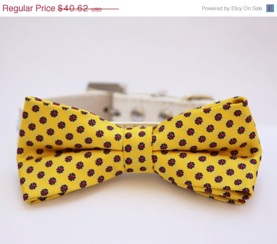 Hochzeit - Yellow dog bow tie attached to leather dog collar, Spring wedding idea, Pet wedding accessory, Dog Lovers