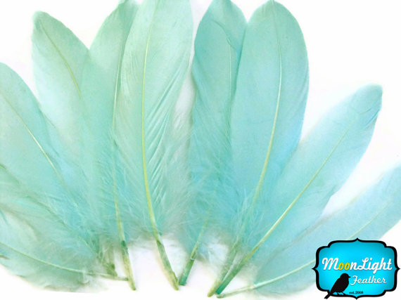 Wedding - Aqua Goose Feathers, 1 Pack - MINT GREEN Goose Satinettes Loose feathers 0.3 oz. : 2121
