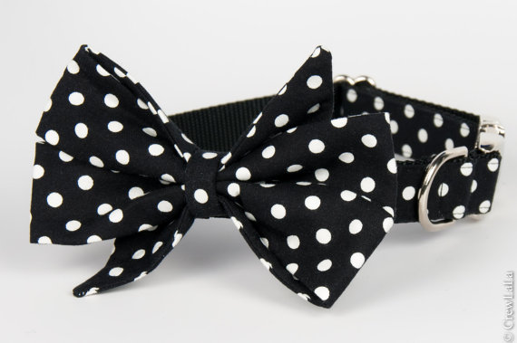 Hochzeit - White Dot on Black Belle Bow Dog Collar