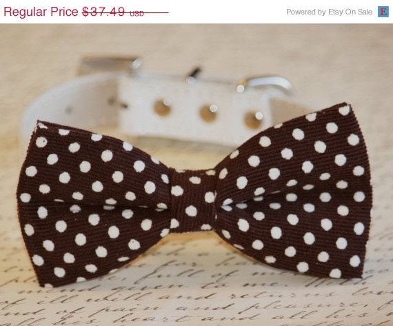 زفاف - Brown Polka Dots bow tie attached to leather dog collar, Chic Dog Bow tie, Pet Wedding Accessories, 2014 Wedding Accessories