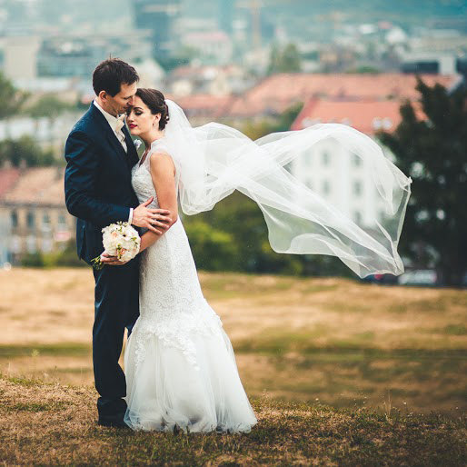 زفاف - Wedding Veil - Floor Length Veil Bridal - Chapel Length Veil Bridal - Bridal Veil Tulle - Ivory, Soft white, White