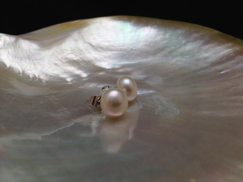 زفاف - AAA Quality 10mm White Cultured Pearl Earrings from ADARNA GALLERY