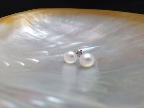 زفاف - Genuine Pearl Earring, Genuine Pearl Stud, AAA Pearl Stud, 7mm Pearl Stud Earrings, Freshwater Pearl Studs, White Pearl Earrings, Elegant St from ADARNA GALLERY