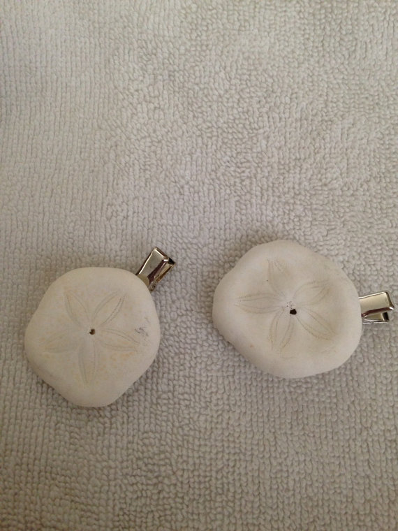 Mariage - 2 Seashell Hair Clip Accessory Wedding Bride Bridesmaid Sea Biscuit  White Sea Shells
