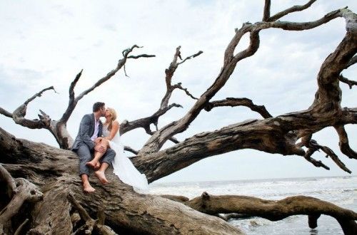 زفاف - Weddings-Beach