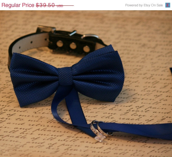زفاف - Royal Blue Dog Bow Tie, Dog ring bearer, Pet Wedding accessory, Pet lovers, Royal Blue bow attached to black dog collar