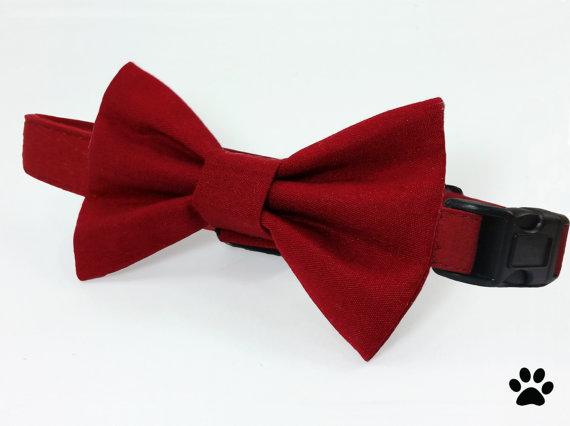 زفاف - Burgundy wine red bow tie and collar - cat bow tie collar set, dog bow tie collar set