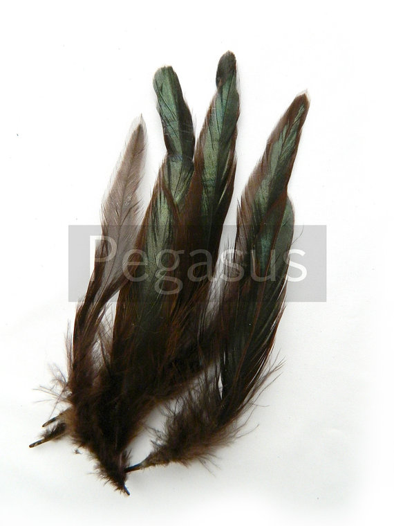 زفاف - Steampunk Brown Loose Rooster Coque Feathers (4-5 inches)(12 Piece) craft material for millinery, masks and hair fascinators