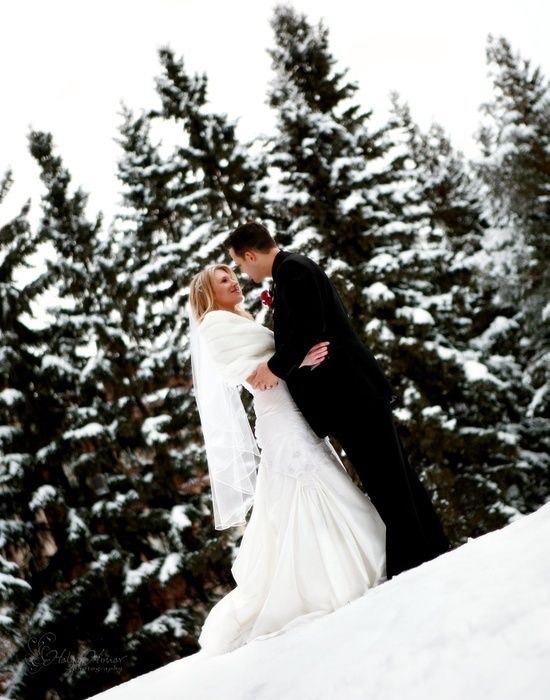 Свадьба - Winter Wonderland