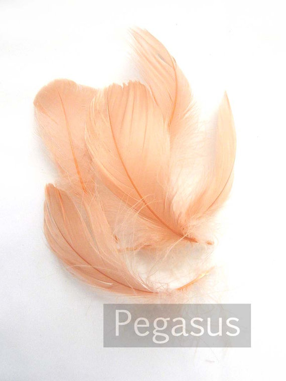 Hochzeit - Loose Blush Pink Nagorie goose feathers (12 Feathers) Popularly used for wedding flowers, fascinators, derby hats and flapper headdresses