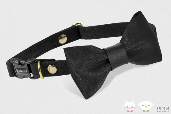 زفاف - Cat Collar, Breakaway Collar, Black Bow Tie Collar, Dog Collar