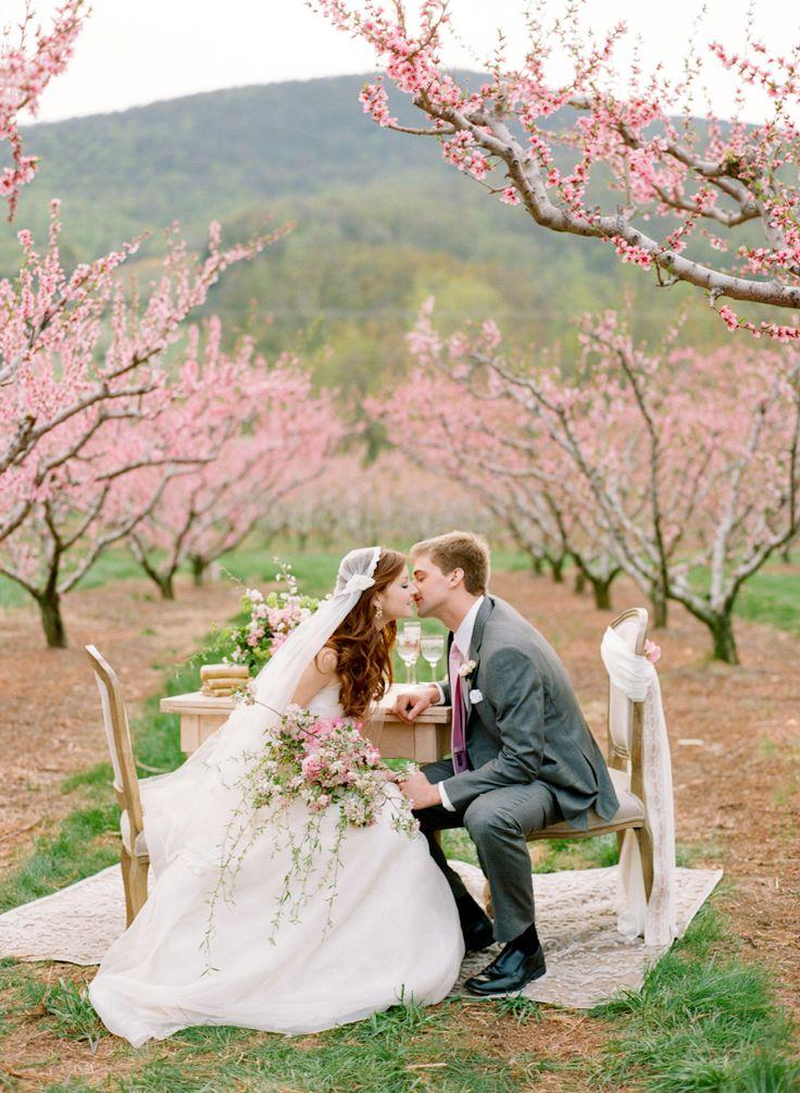 Свадьба - Cherry Blossom Orchard Wedding Inspiration