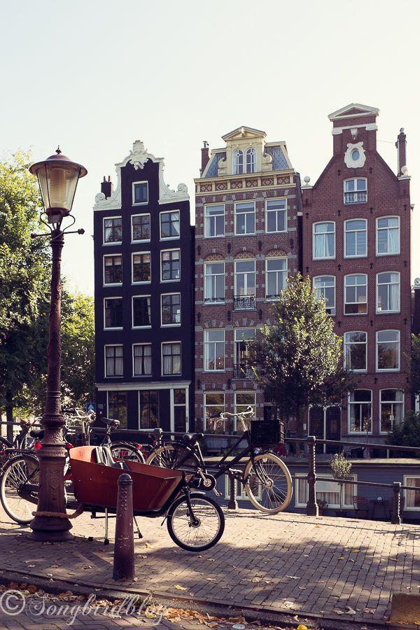 زفاف - Our One Day Amsterdam Trip