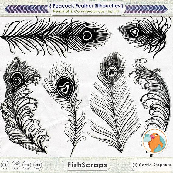 Wedding - Peacock Feather Clip Art, Feather Silhouettes, Peacock Wedding Invitation Graphics, Photoshop Brushes + PNG Digital Stamps, Bird