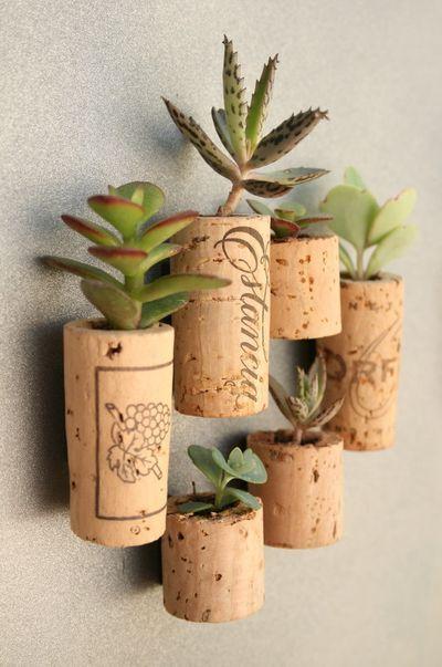 Mariage - CUSTOM Order For Ranbo Succulent Cork Magnets, Mixed Sets