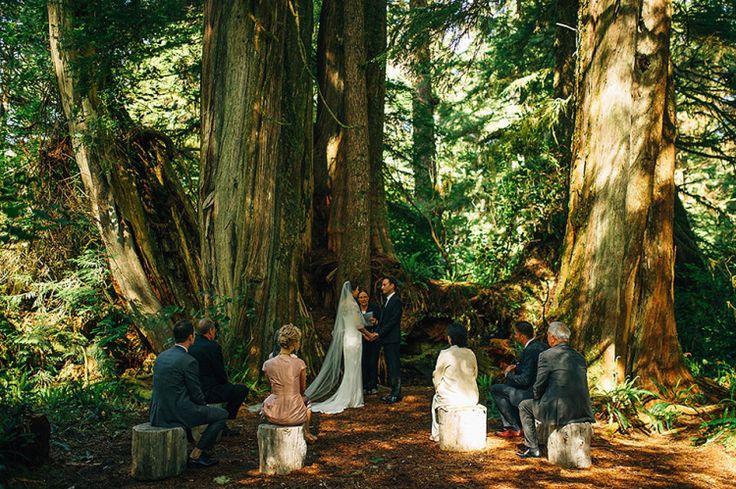 Hochzeit - A Marchesa Gown For A Minimalist And Intimate Wedding In The Woods