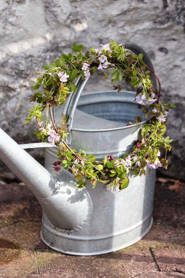 Mariage - Old Zinc Watering Cans