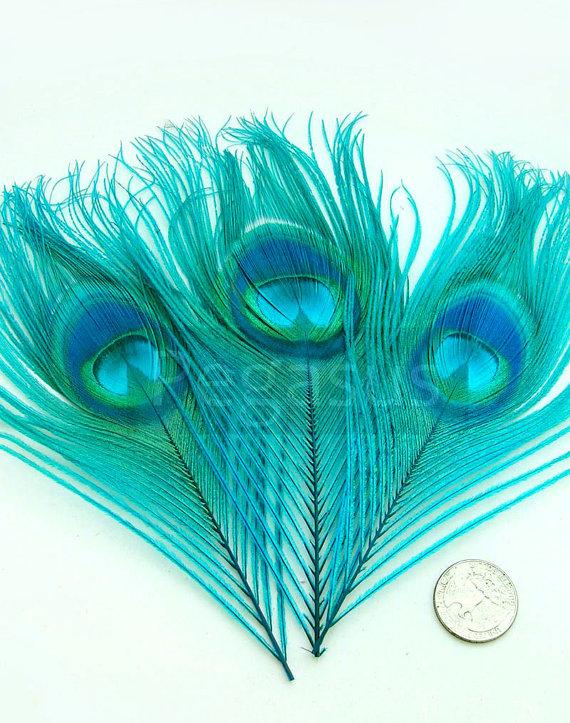 زفاف - TEAL BLUE Peacock Feather Eyes (12 Pieces) Pristine D.I.Y. feathers for boutonnieres, earrings, wedding bouquets and millinery