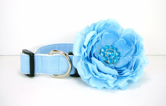 زفاف - Wedding dog collar-Light Blue  Dog Collar with flower set  (Mini,X-Small,Small,Medium ,Large or X-Large Size)- Adjustable