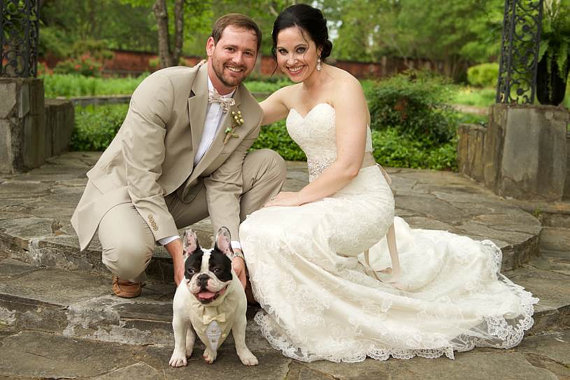 زفاف - Khaki Wedding Tuxedo Dog Bandana Sz XS S M