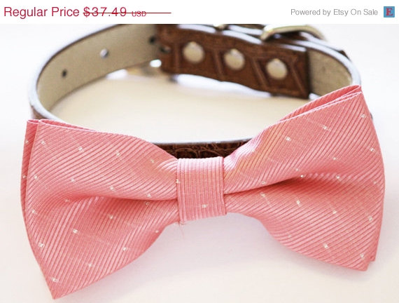 زفاف - Blush Dog Bow Tie -Blush Bow tie attached  to Brown leather, Blush Wedding idea, Pet Wedding Accessory, Dog Birthday Accessory