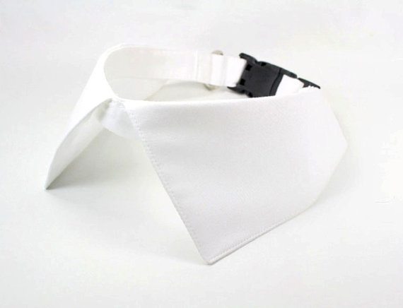 Wedding - Dog Wedding Collar White Pointed Shirt Collar with D Ring for Leash Attachment