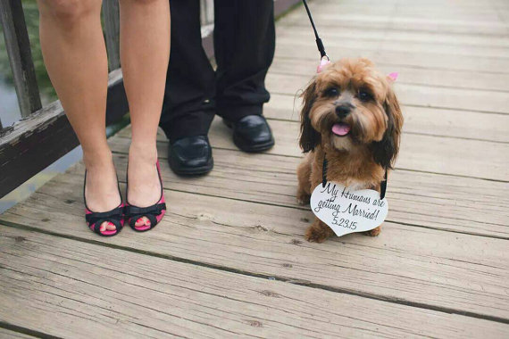 Mariage - My Humans are getting Married Save the Date Sign Heart Signs Photography Props Enagement Pictures Wedding Small Dog Ring Bearer Flower Girl