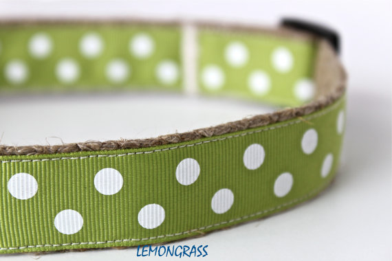 Wedding - Sage & White Polka Dot Dog Collar / Ribbon Adjustable Dog Collar / Wedding Dog Collar / Lemongrass