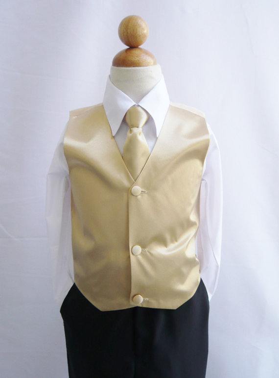 Hochzeit - Boy Vest with Long Tie in Champagne for Ring Bearer, Communion, Wedding in Size 12, 14, 16 only