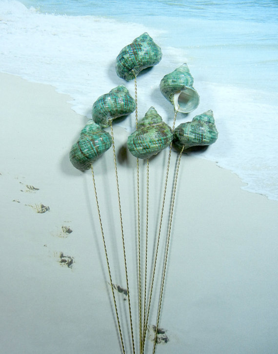 Wedding - Seashell Stems - 6 Naturally Colorful Jade Turbo Seashells for Bouquet Bridal Bouquet or Centerpieces