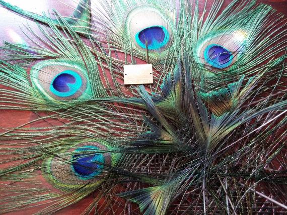 زفاف - Peacock Feathers, 4 Medium Large 2in wide Eye Feathers, 6 Tip Feathers,Weddings, Prom. Shower, Center Pieces, Corsage, Bouquet, Ornaments