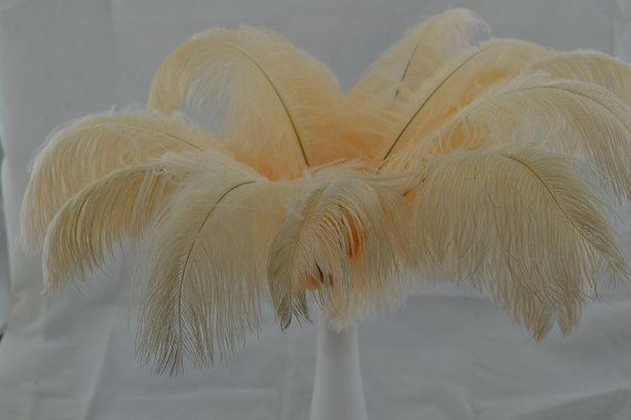Mariage - 100 beige ostrich feathers for Wedding Table centerpieces Party Decorations,wedding table decoration,eiffel tower centerpiece