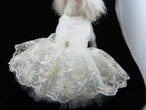 Mariage - Ivory Embroidered Ruffsody