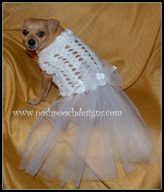 زفاف - Wedding Dog Dress - Custom Made   Small Dogs 2-15 lbs