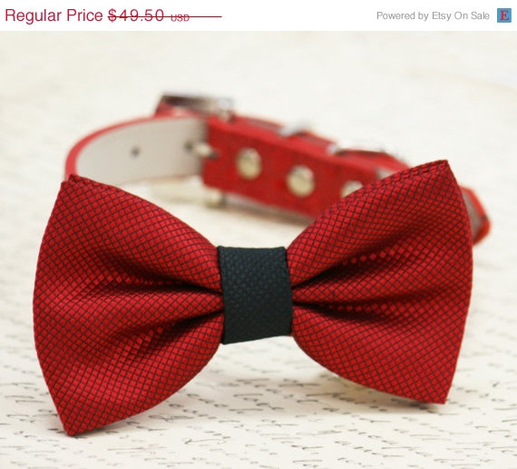 Wedding - Red and Black dog bow tie, Bow attached to red dog collar, dog lovers, dog birthday gift, pet accessory, black and red wedding