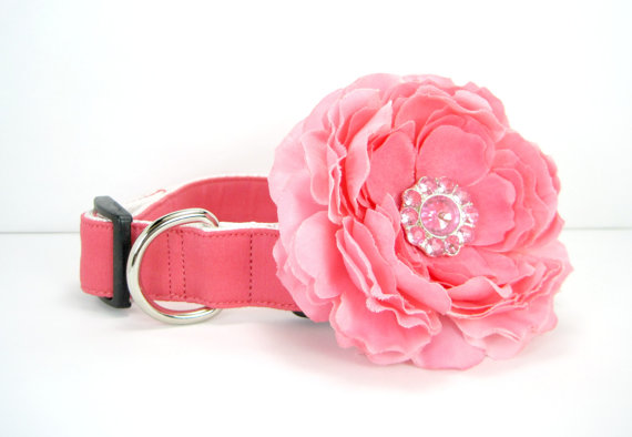 زفاف - Wedding dog collar-Pink / Coral  Dog Collar with flower set  (Mini,X-Small,Small,Medium ,Large or X-Large Size)- Adjustable