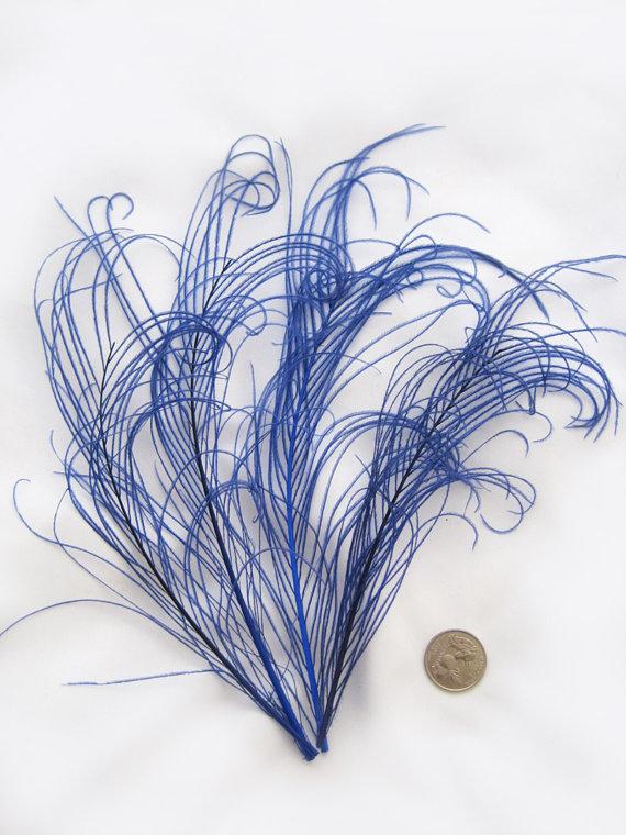 زفاف - ROYAL BLUE  peacock feather sprigs curled for hats, fascinators, headdresses, and floral arrangements. (5 -8 Inches Long)(4 SPRIGS)