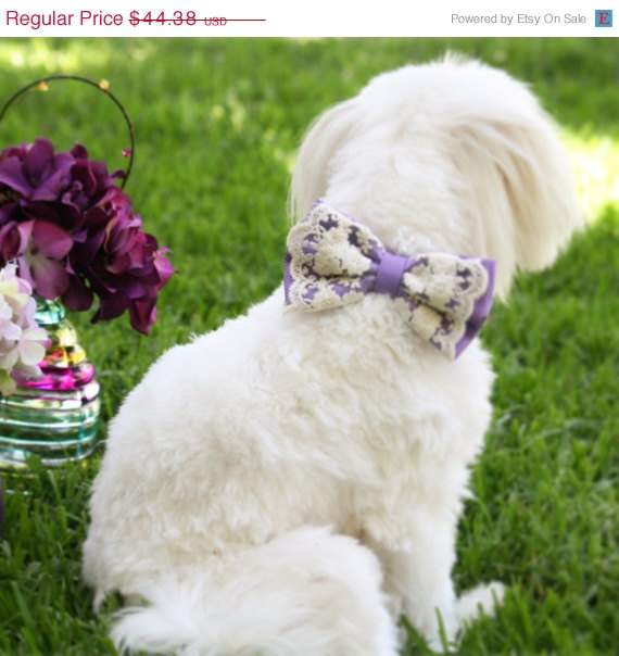 Wedding - Lavender Dog Bow Tie, Purple Wedding, Pet wedding accessory, Wedding accessory, Victorian wedding, Love Purple
