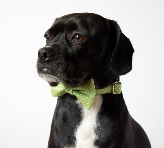 زفاف - Celery Green Polka Dot Bow Tie Dog Collar