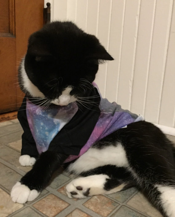 Wedding - Pet Shirt_Galaxy_let you pet show their style with our galaxy raglan tee shirt