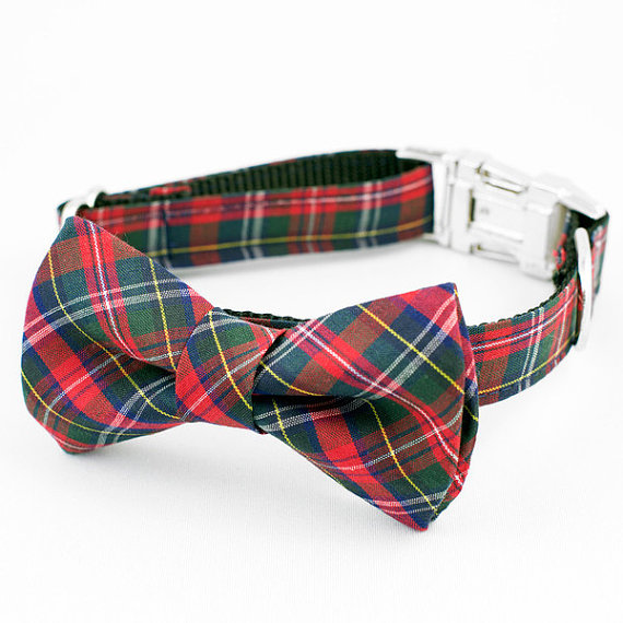 زفاف - Bow Tie Dog Collar - Red and Blue Tartan