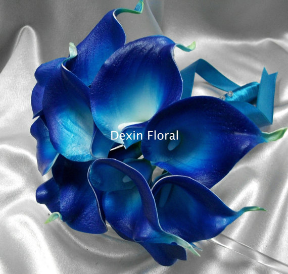 زفاف - 9pcs ~ 36pcs Natural Real Touch Deep Blue Calla Lily Stem or Bundle for Wedding Bridal Bouquets, Centerpieces, Decorations
