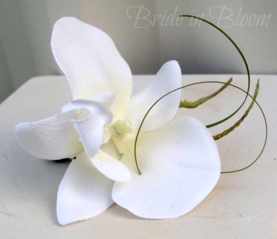Свадьба - Wedding Boutonniere White orchid Boutonniere Groom Groomsmen Boutonnieres