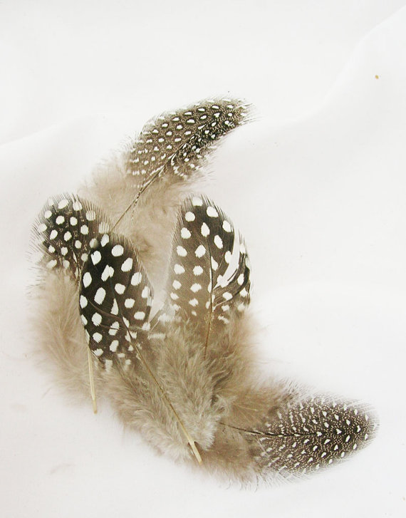 زفاف - Black and White Spotted Guinea Hen Feathers (12 Feathers)(SMALL) DIY craft material for hats, headdresses, hair clips and headbands