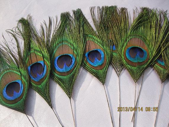 Mariage - 50pcs/lot 8-10" L Peacock eye  feathers  for Wedding invitation Bridal Bouquet Table Centerpiece DIY scrapbook or hairpiece