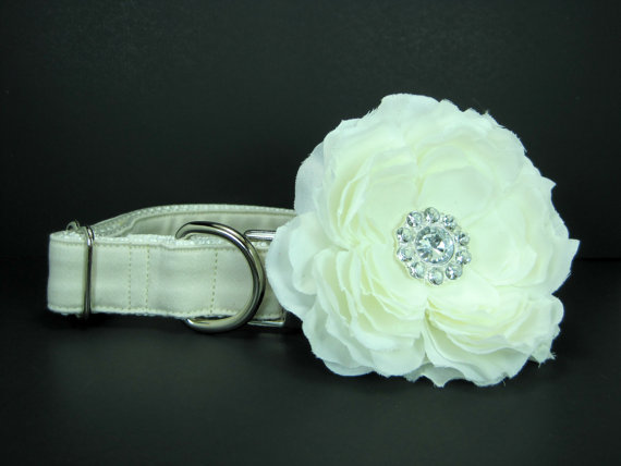 Wedding - Wedding dog collar-Beige/Cream Dog Collar with White flower set  (Mini,X-Small,Small,Medium ,Large or X-Large Size)- Adjustable
